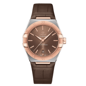 Omega Constellation 131.23.39.20.13.001 39mm