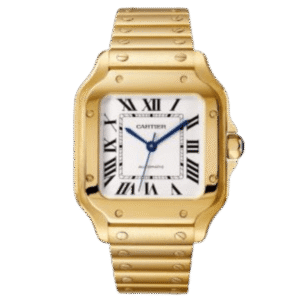 Cartier Santos de Cartier WGSA0030 35.1mm