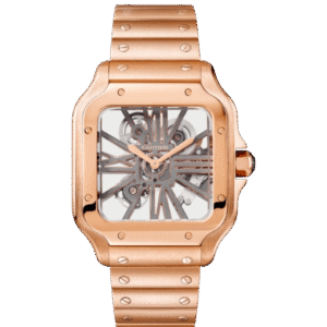 Cartier Santos Large Skeleton WHSA0016