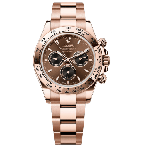 Rolex Daytona 126505-0013 Chocolate Update 2026